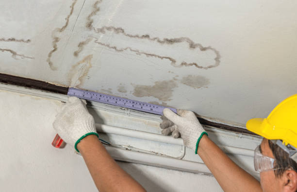 Reliable Water Extraction contractor in Thurmond, WV by Water Damage Irwin